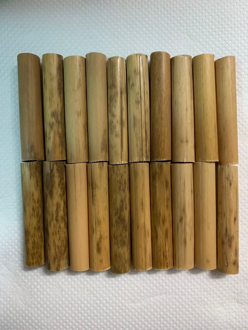 鵜殿産　葦 50本セット