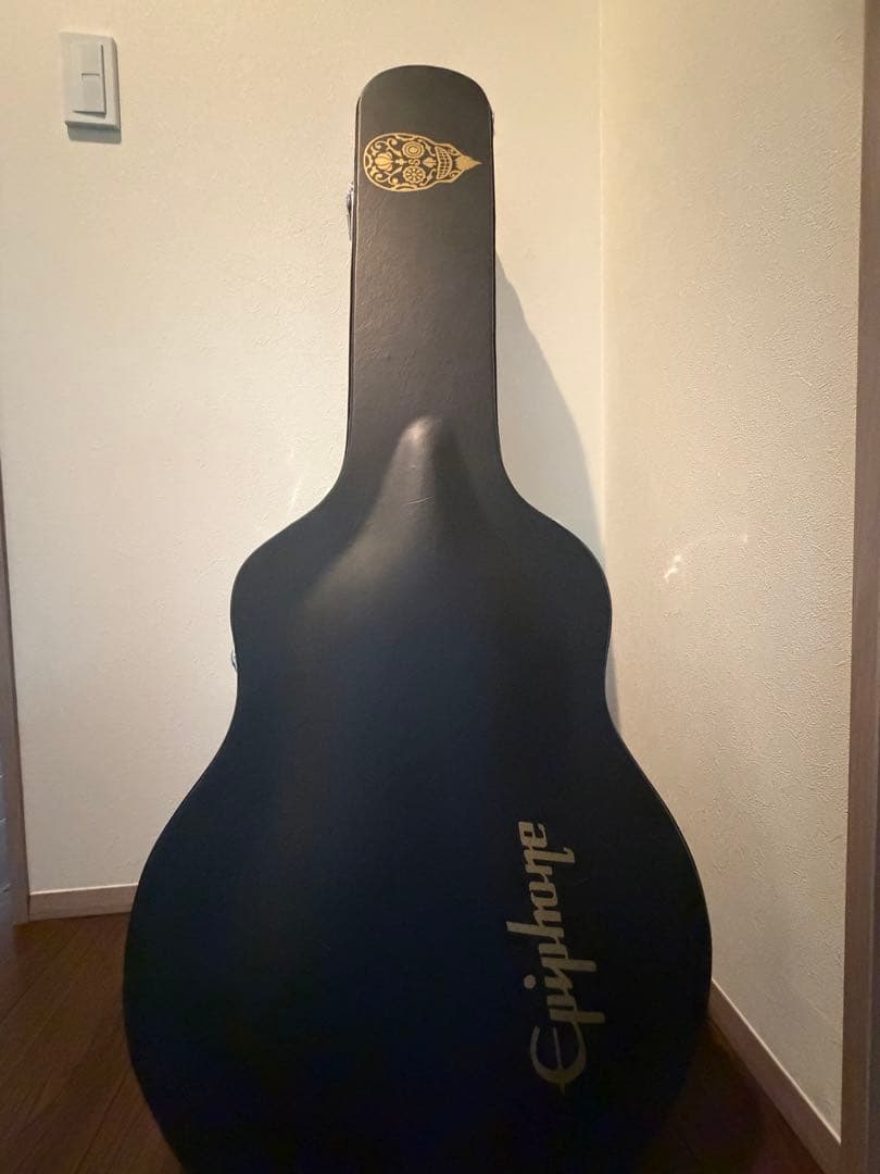 Epiphone Shinichi Ubukata ES-355 付属品完備美品