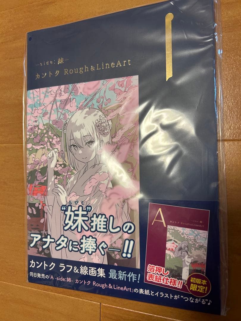 イラストレーター カントク しずく ラフ&線画集 初版本限定箔押し表紙
