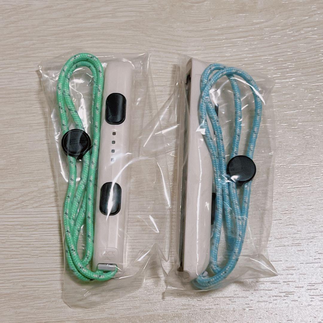 【1部難あり】Nintendo Switch あつまれ どうぶつの森デザイン
