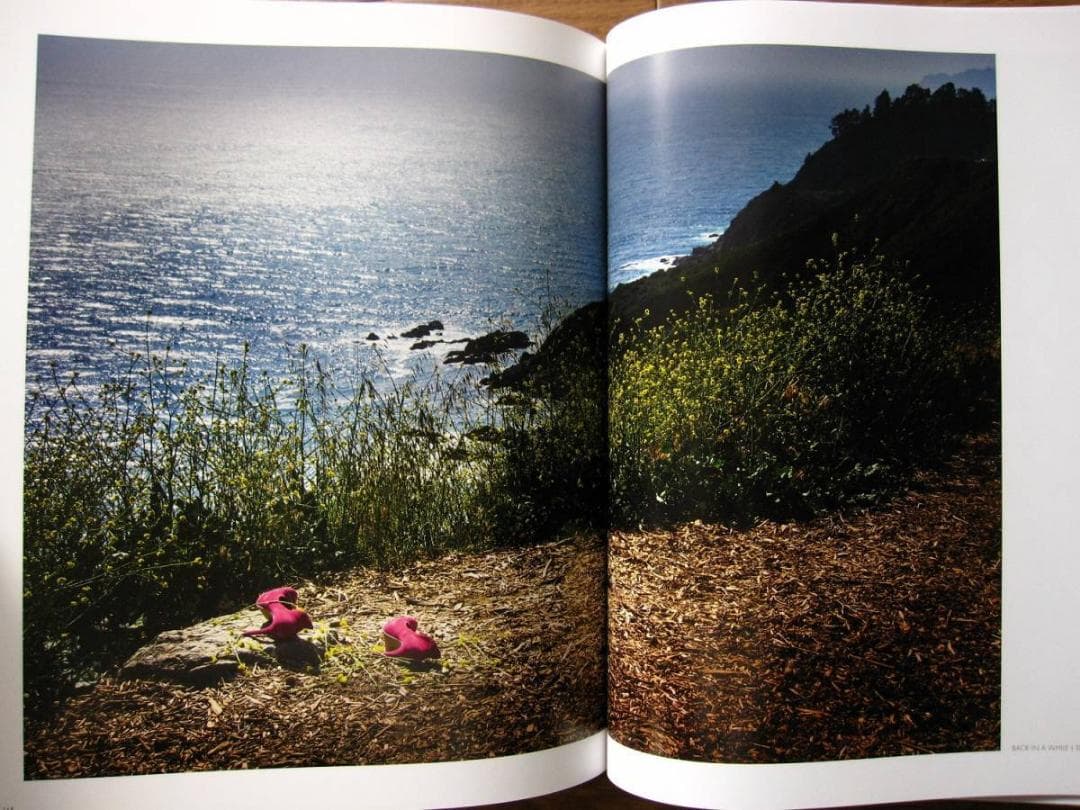 Chasing Paradise　David Drebin　デイビット・ドレビン