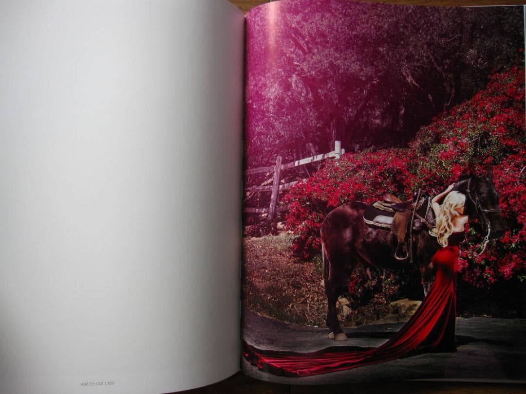 Chasing Paradise　David Drebin　デイビット・ドレビン
