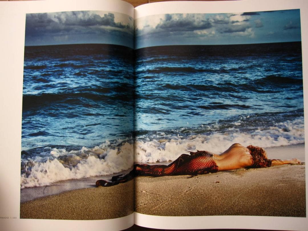 Chasing Paradise　David Drebin　デイビット・ドレビン
