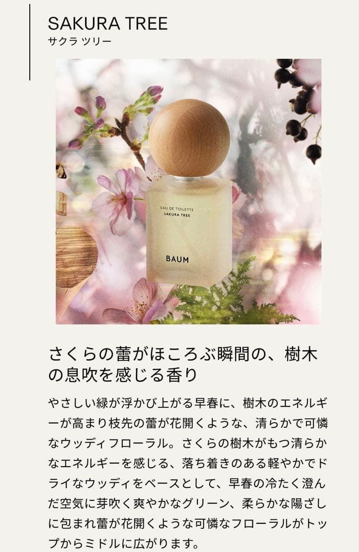 BAUM バウム　サクラツリー　オードトワレ　箱無し　60ml