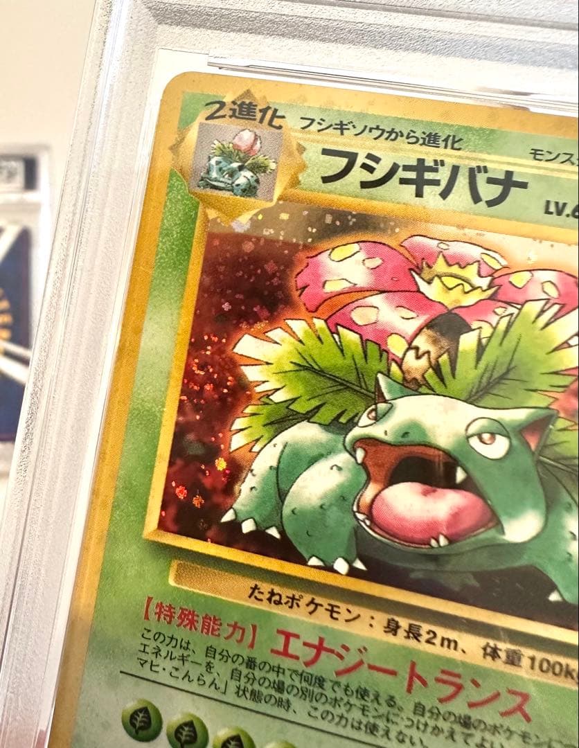 【PSA10,9】1999 CDプロモ フシギバナ リザードン カメックス 旧裏