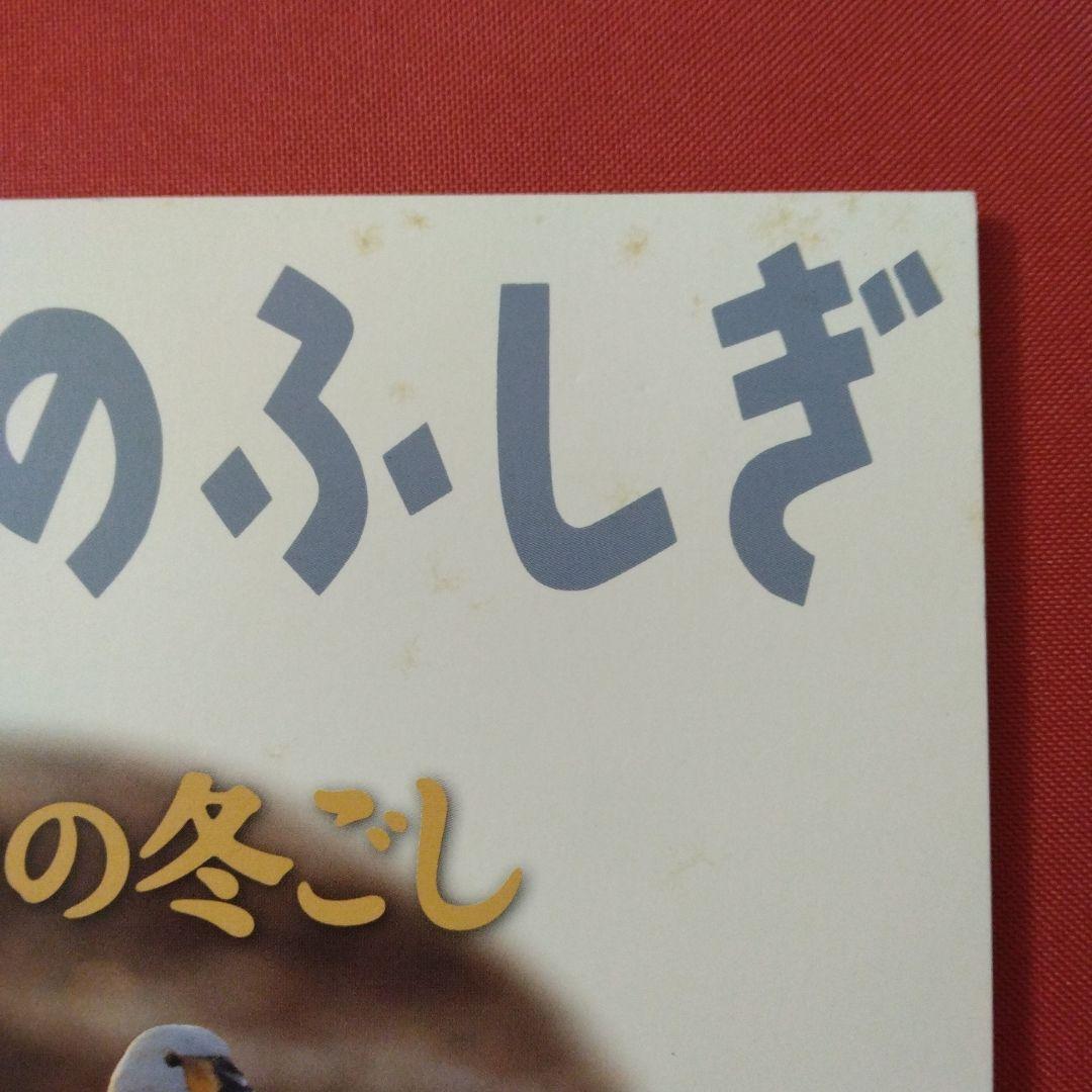 たくさんのふしぎ　キンダーブックしぜん　ハクチョウの冬夜　はくちょう
