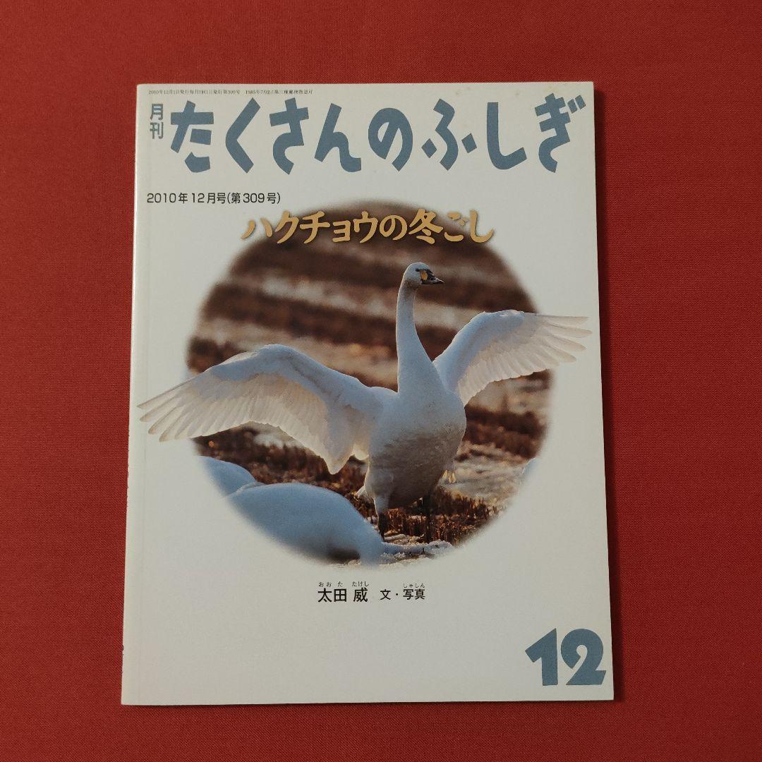 たくさんのふしぎ　キンダーブックしぜん　ハクチョウの冬夜　はくちょう