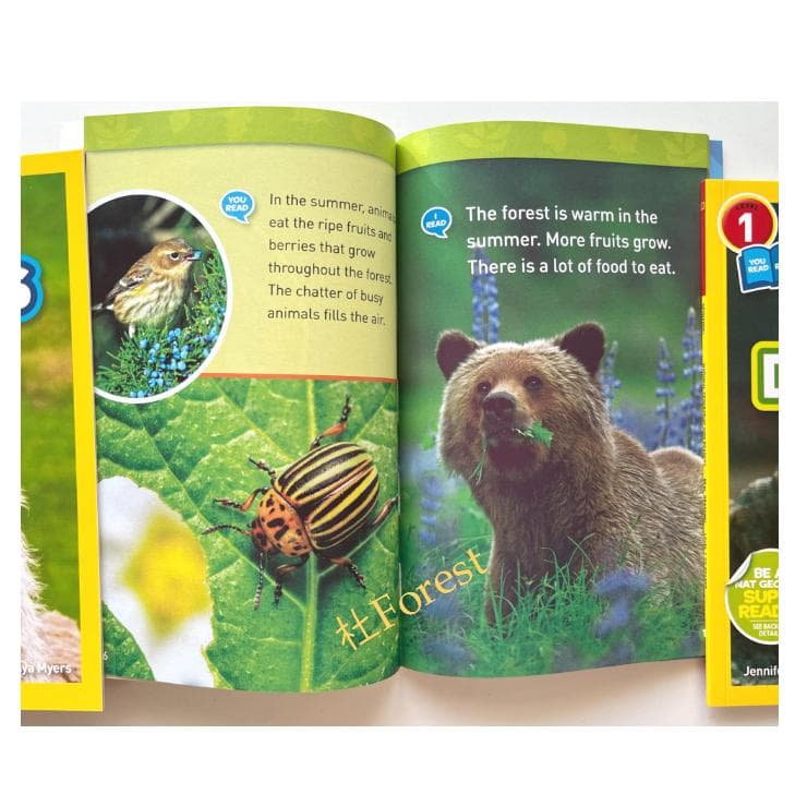 新品 National Geographic Kids 1 絵本46冊 音源付