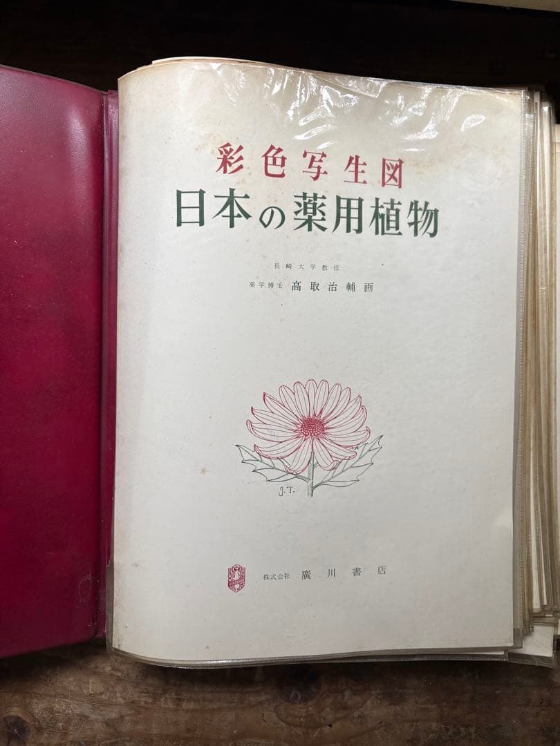 日本の薬用植物 彩色写真図鑑