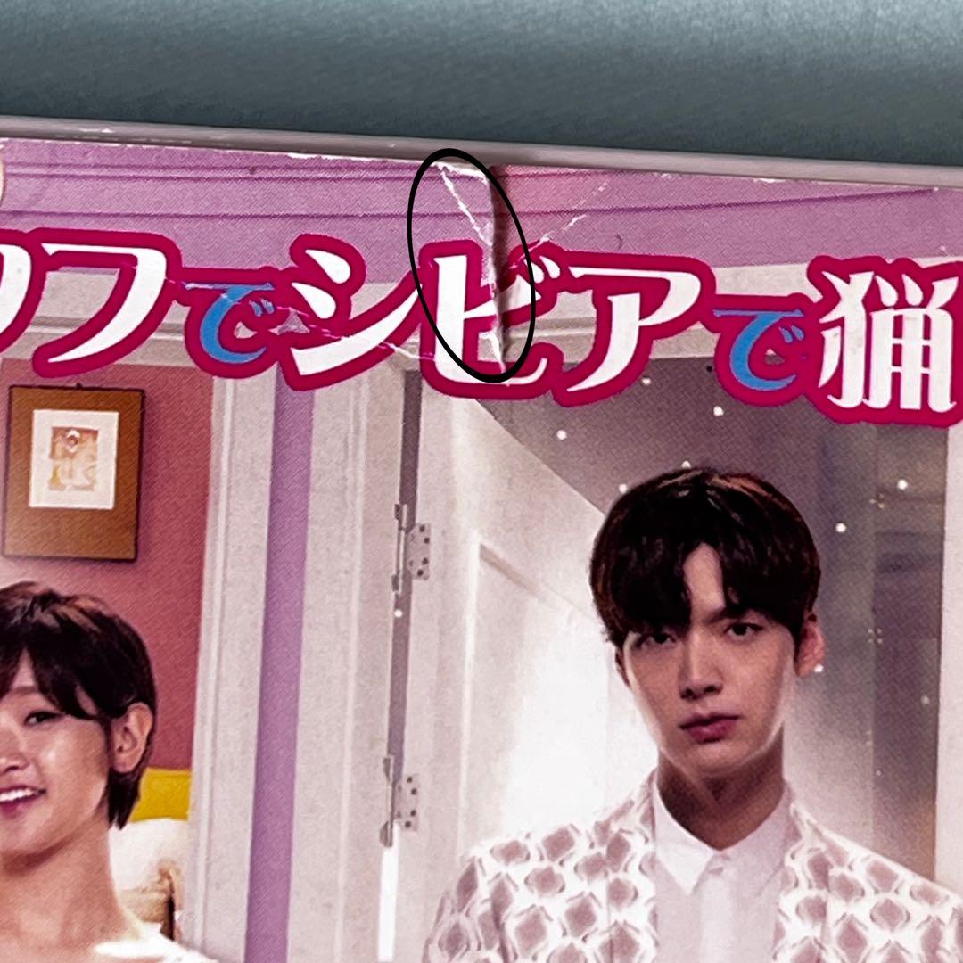 シンデレラ4人の騎士 DVD チョンイルDVD　韓ドラマ