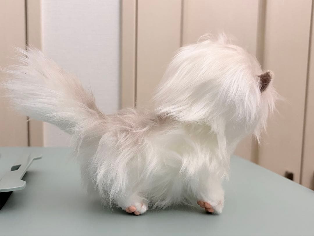 アートドール　白猫　ペルシャの子猫