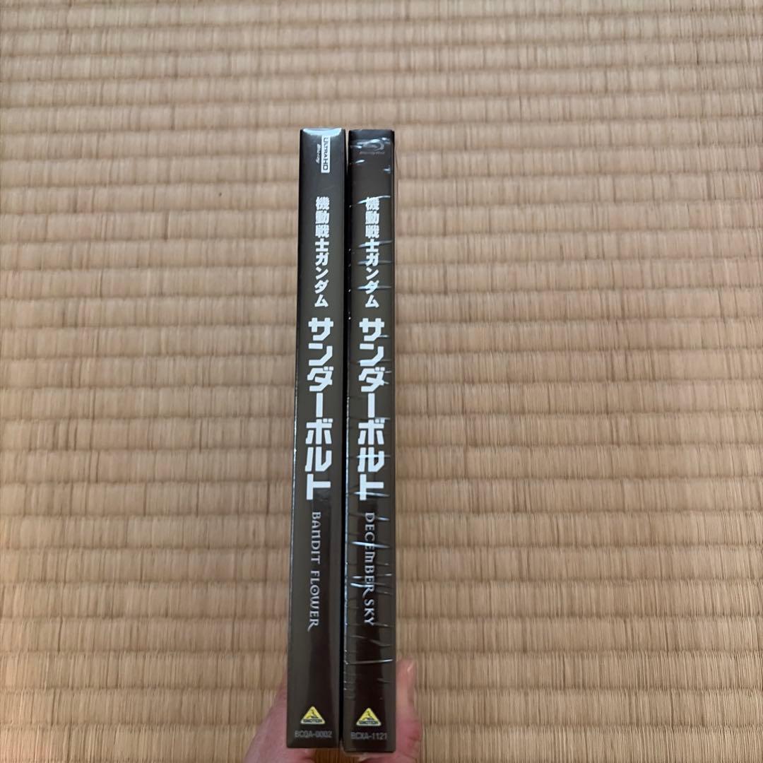 機動戦士ガンダム サンダーボルト