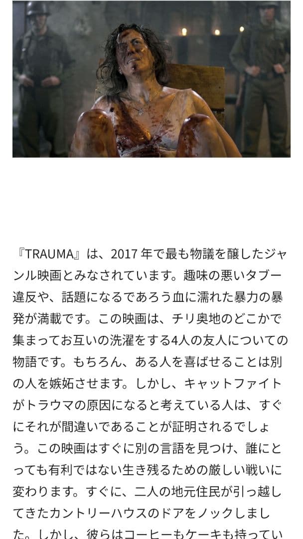 輸入盤ホラー　DVD TRAUMA