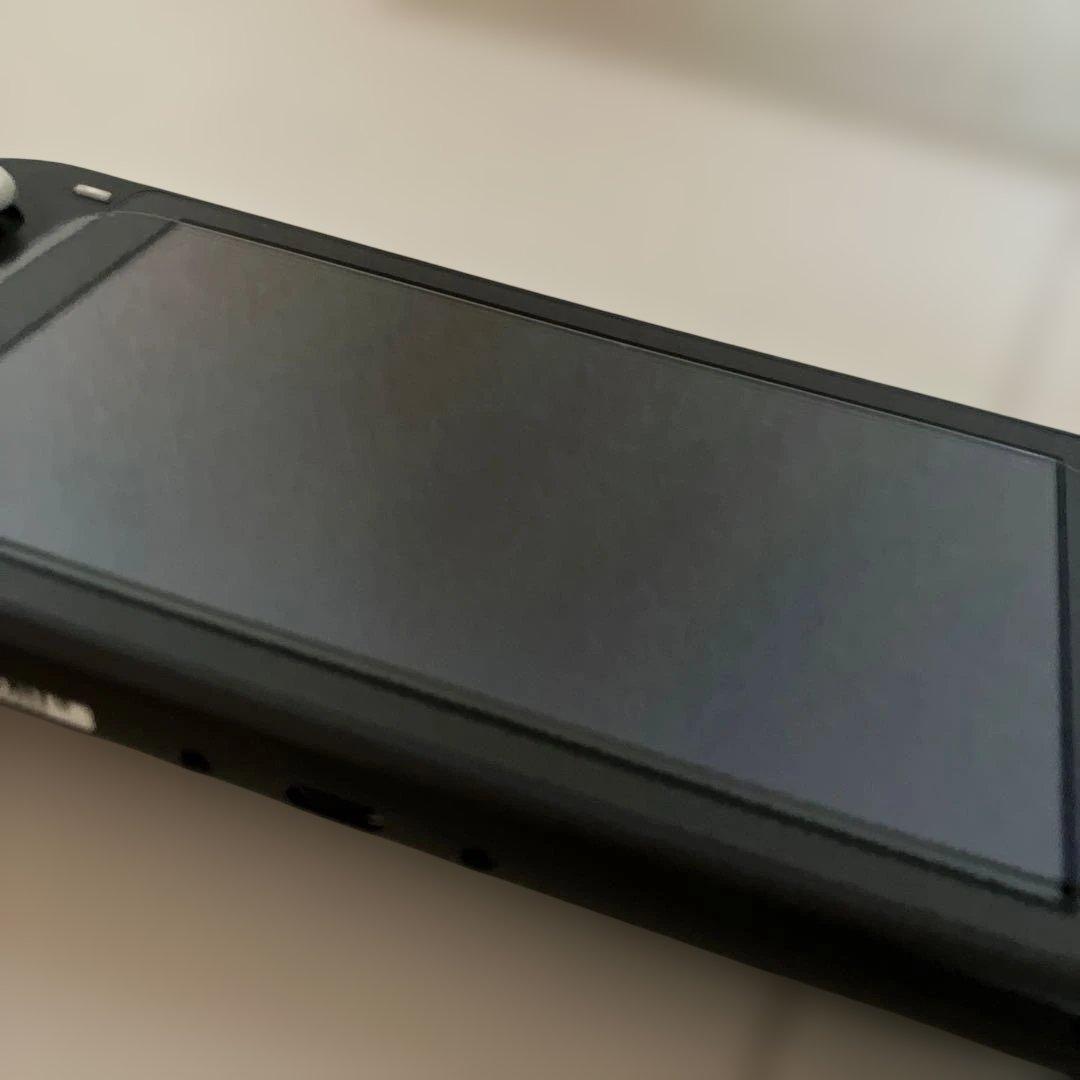 Nintendo Switch lite/gray/任天堂スイッチライト