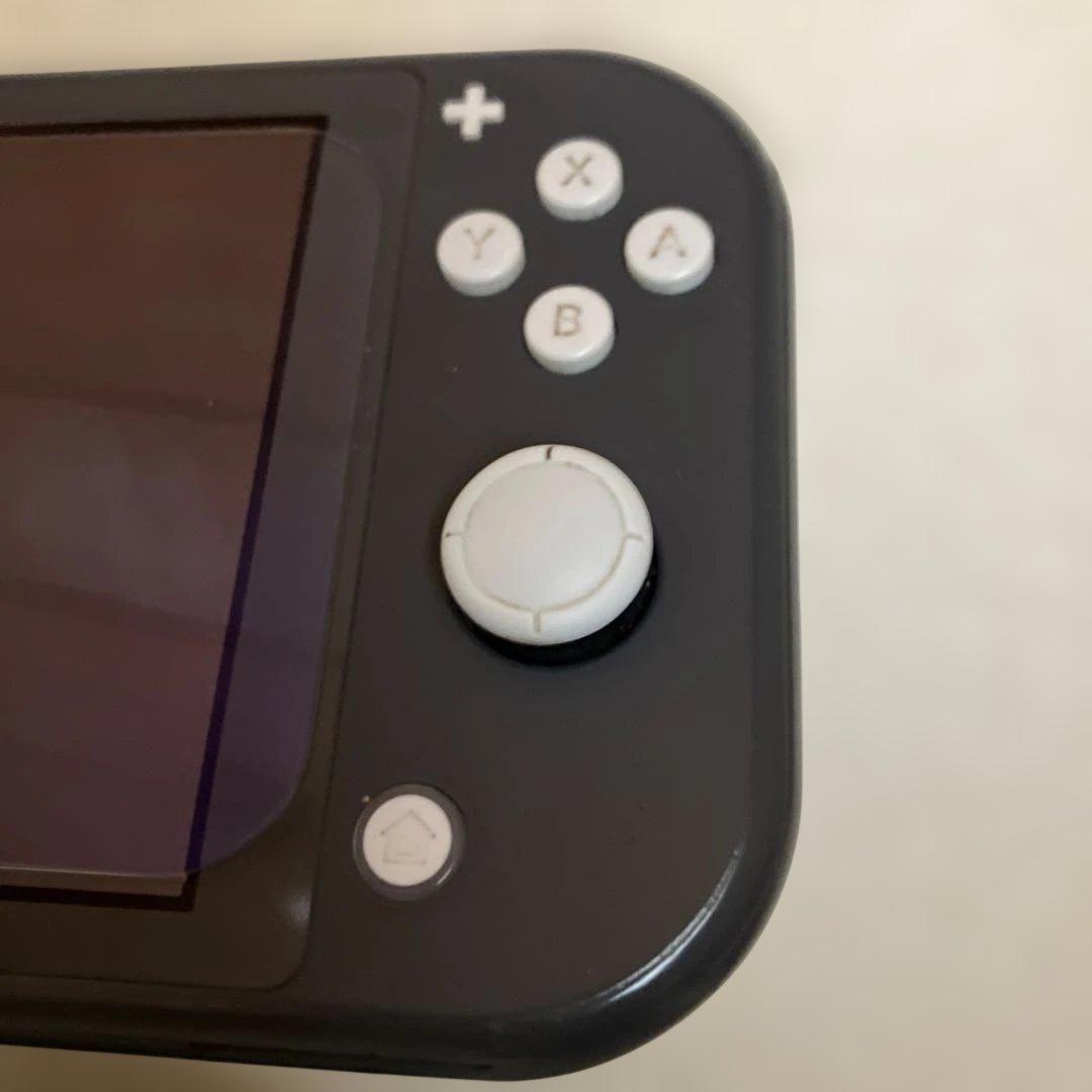 Nintendo Switch lite/gray/任天堂スイッチライト
