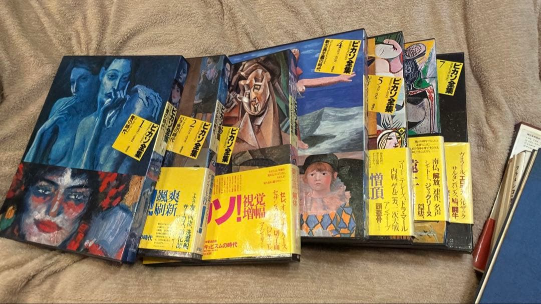 ピカソ全集 全10巻