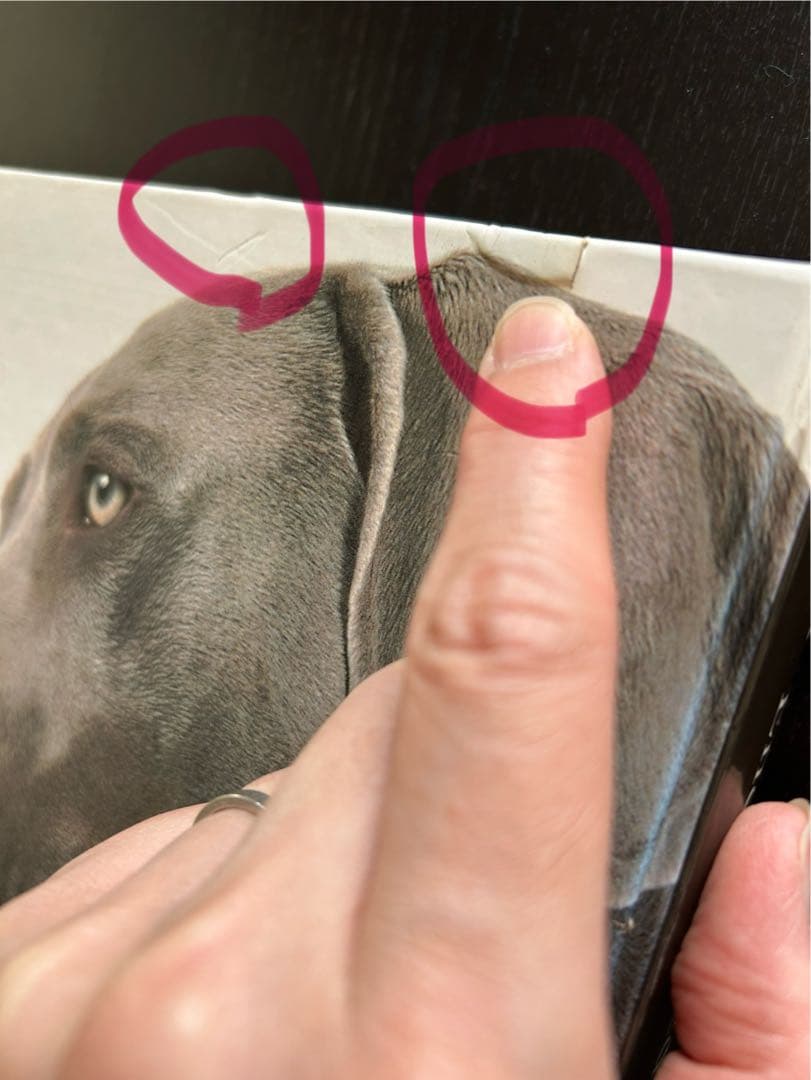 趣味・スポーツ・実用 The new Encyclopedia of the DOG