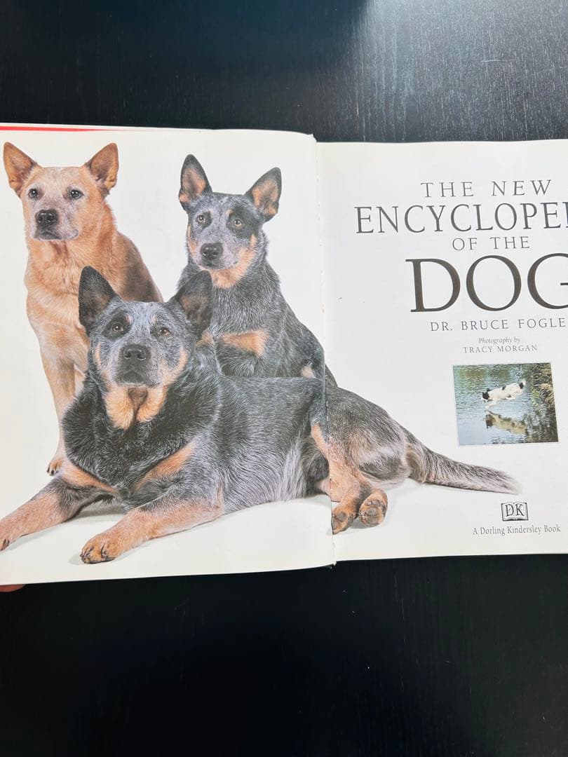 趣味・スポーツ・実用 The new Encyclopedia of the DOG