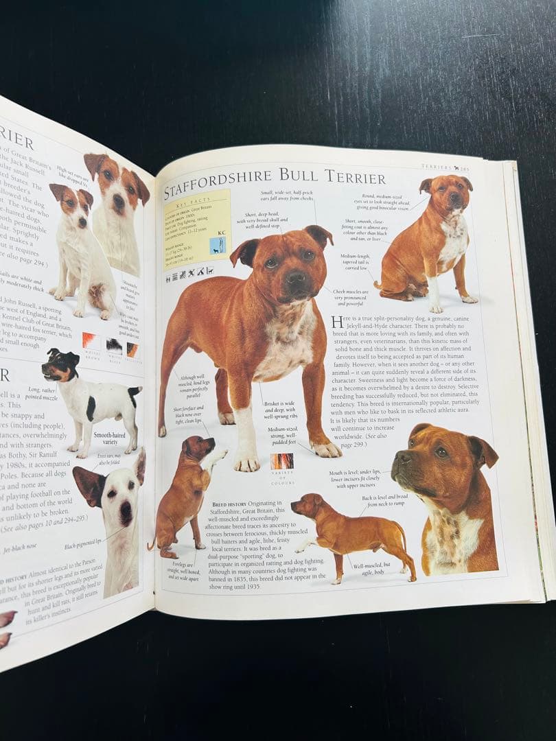 趣味・スポーツ・実用 The new Encyclopedia of the DOG