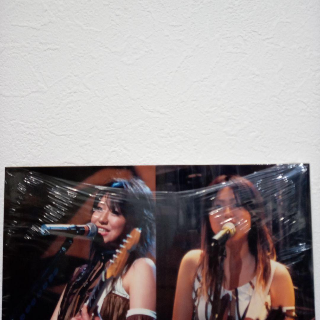 ZONE SUMMER LIVE 2004　写真集　3冊セット