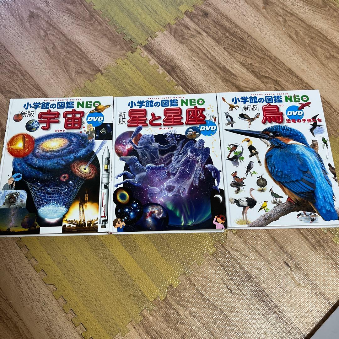 小学館の図鑑NEO DVDなし　19冊セット