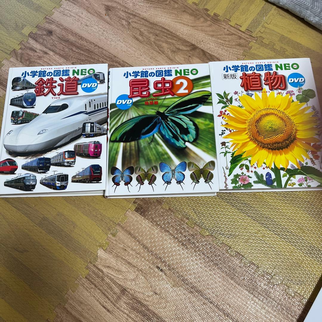 小学館の図鑑NEO DVDなし　19冊セット