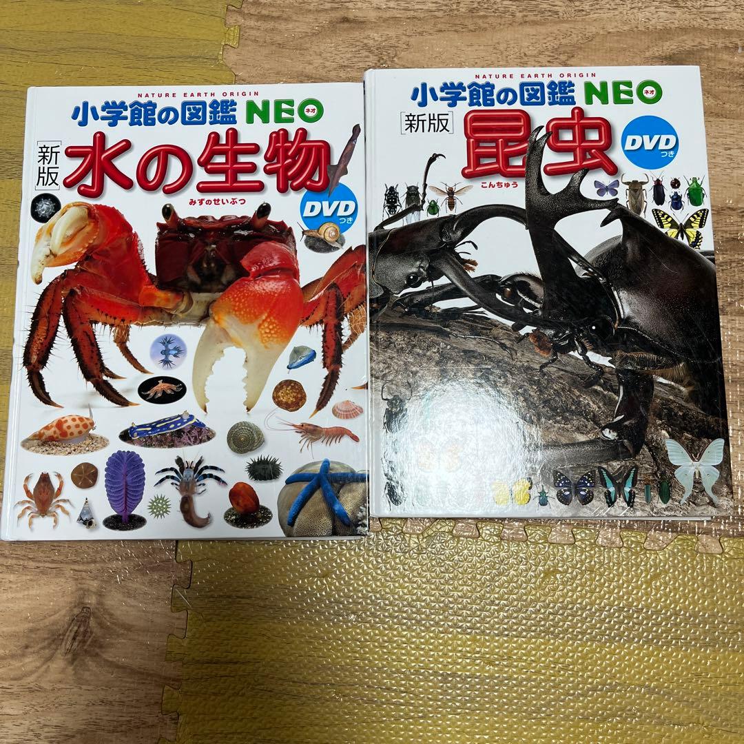 小学館の図鑑NEO DVDなし　19冊セット