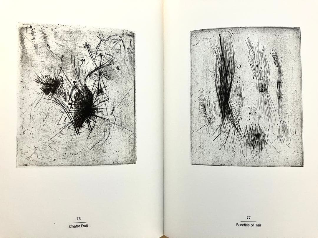 アート・デザイン・音楽 WOLS PHOTOGRAPHS WATERCOLOURS ETCHINGS