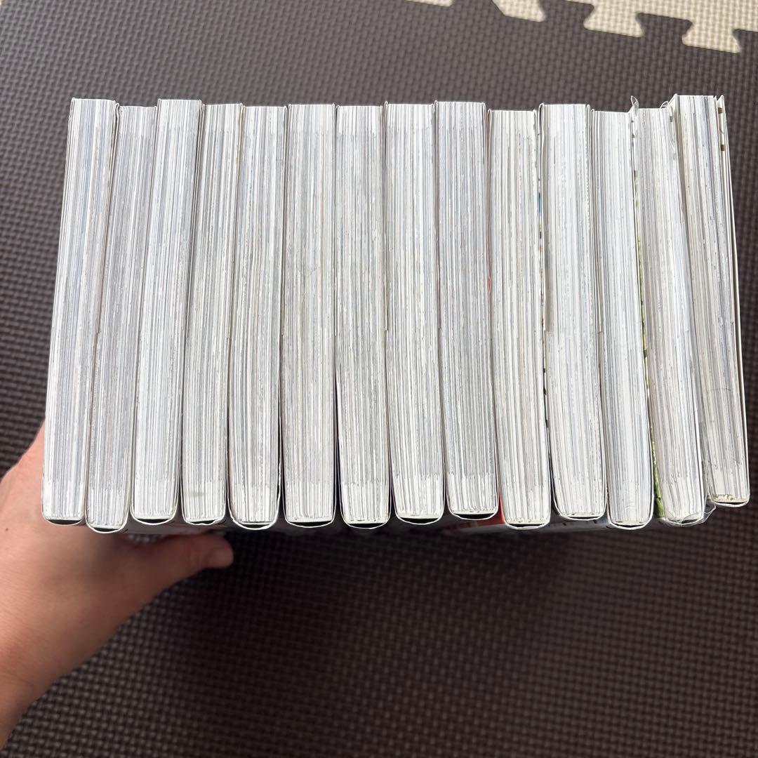 彼女が公爵邸に行った理由 全巻