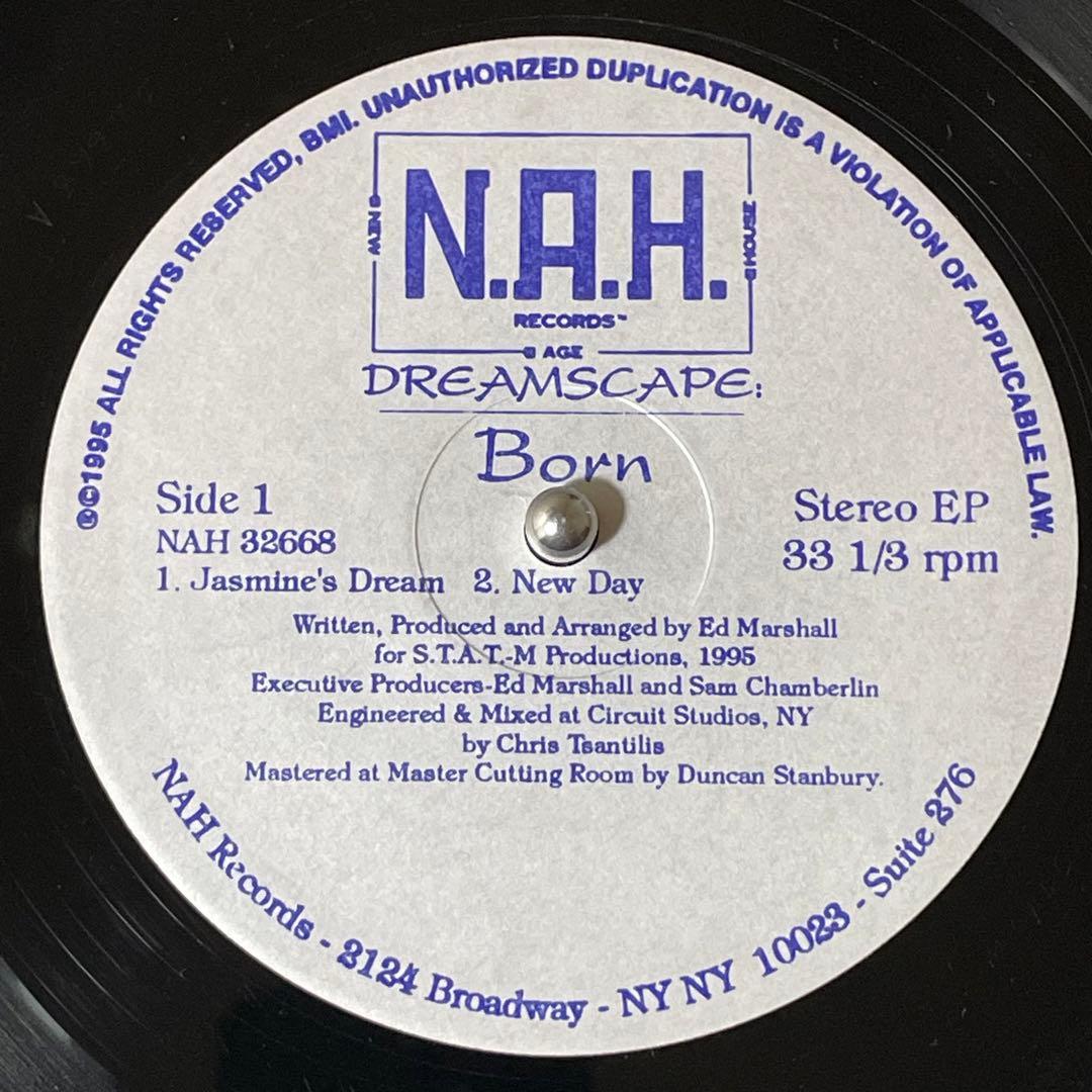 Dreamscape – Born