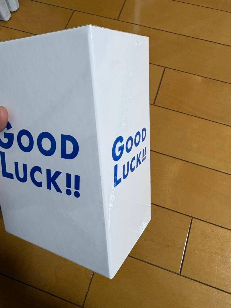 GOOD LUCK!! DVD ボックスセット 全5巻+特典映像付き