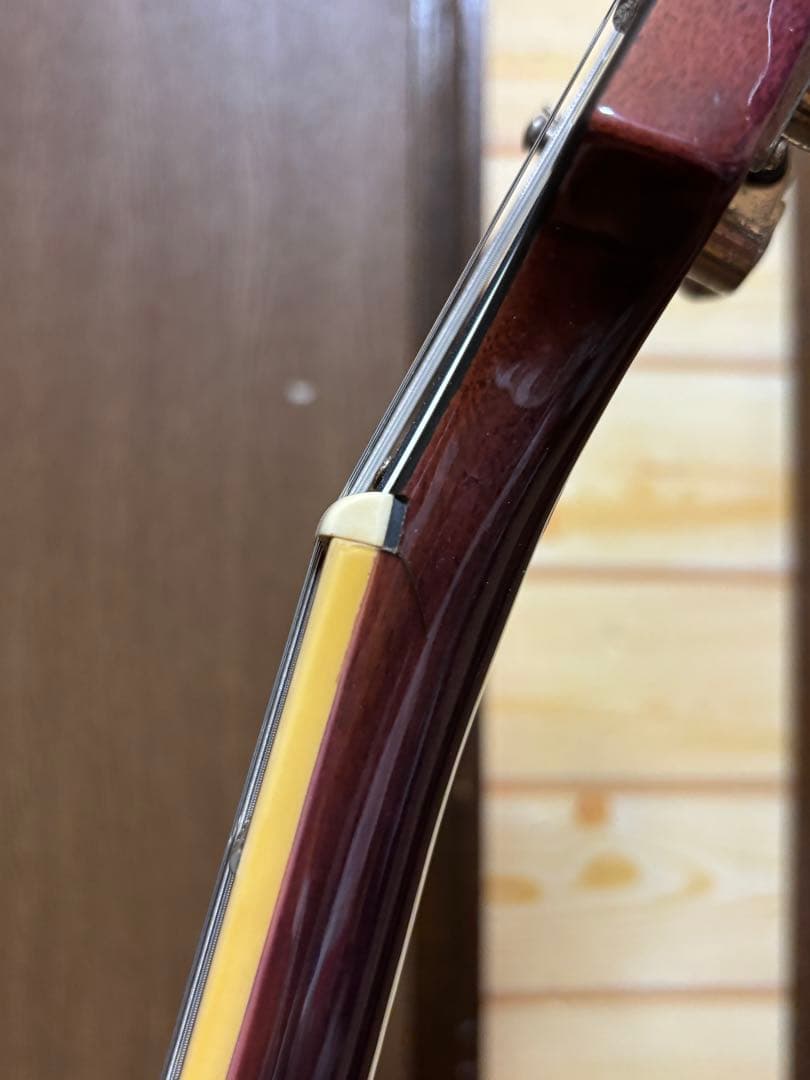 Epiphone Les Paul Standard紫