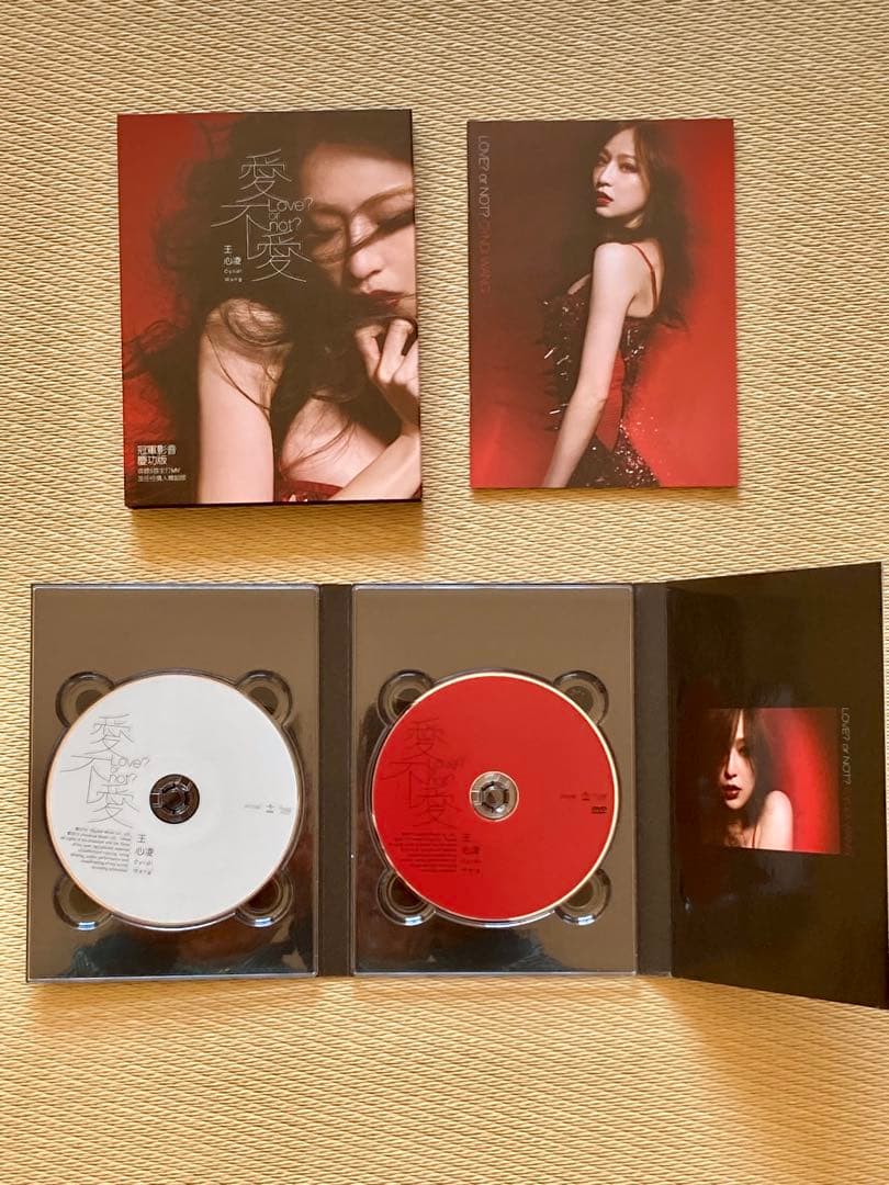 王心凌 Cyndi Wang CD 2セット