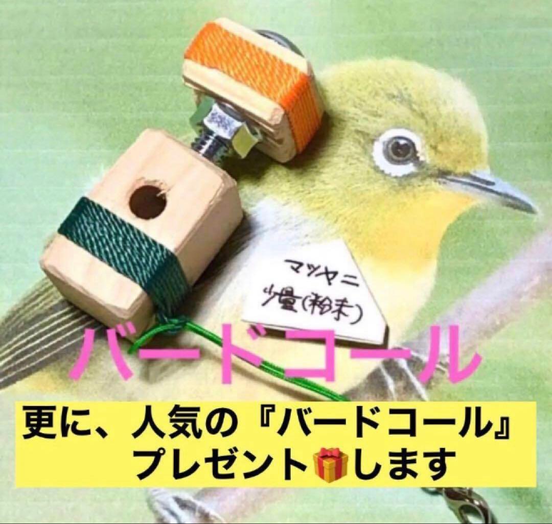 キッズ和太鼓(面24cm)と太鼓台セット