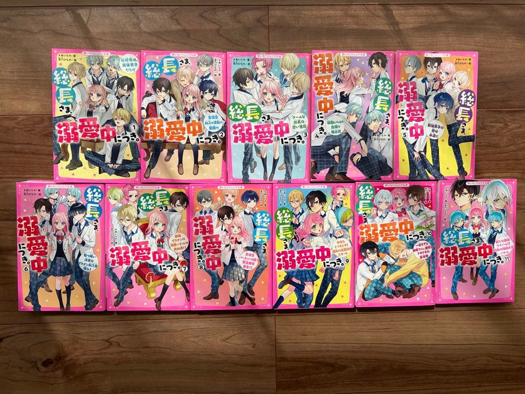 総長さま、溺愛中につき。11巻セット