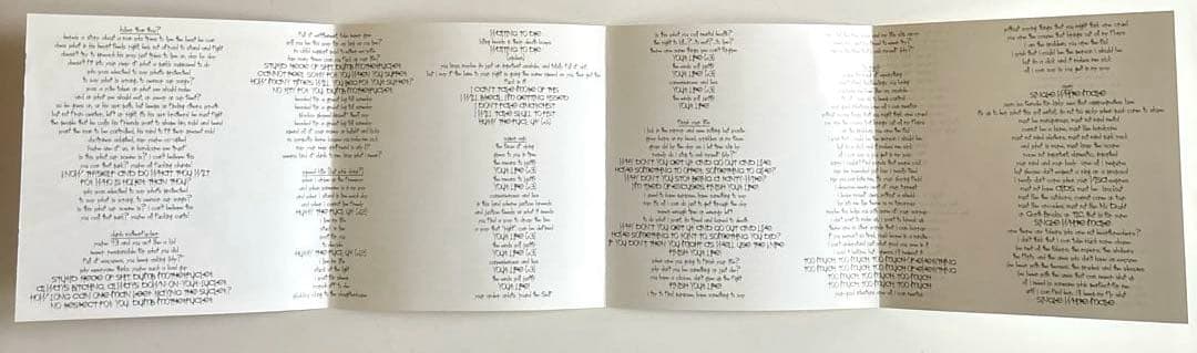 HOLIER THAN THOU?/HATING OF THE GUTS希少CD