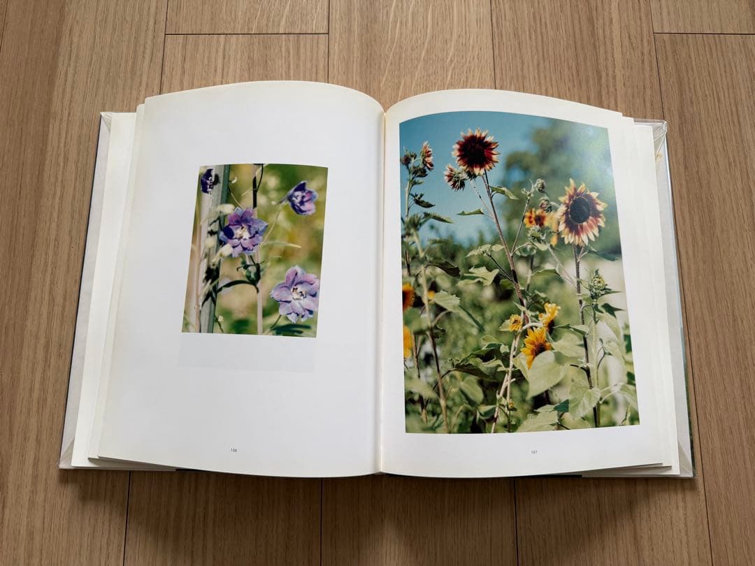 STILL トーマス・シュトゥルート Thomas Struth