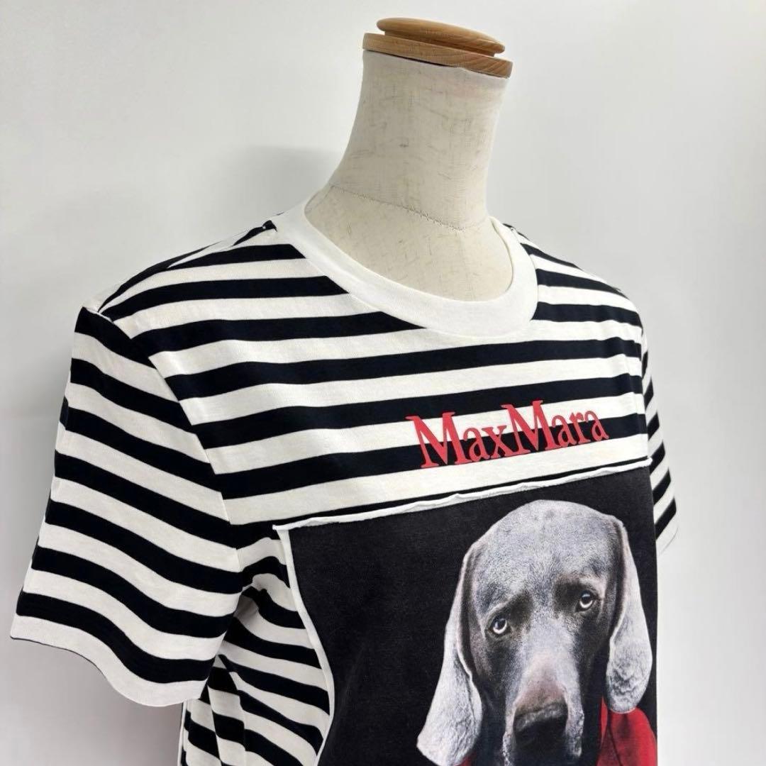 美品MaxMara　ROSSO　TシャツドッグXS　VANIGLIA黒白ボーダー