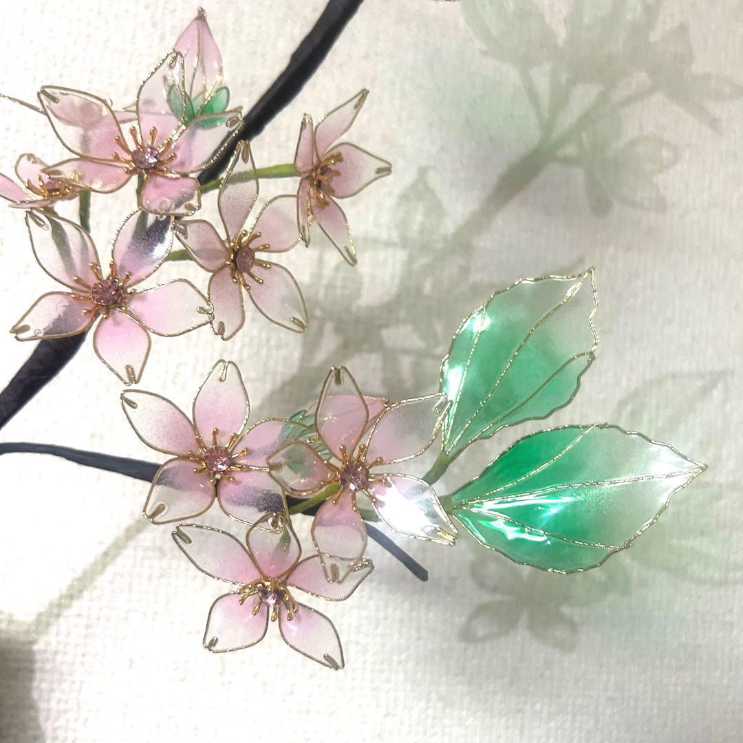 レアちゃん❤️　紫陽花　椿　桜