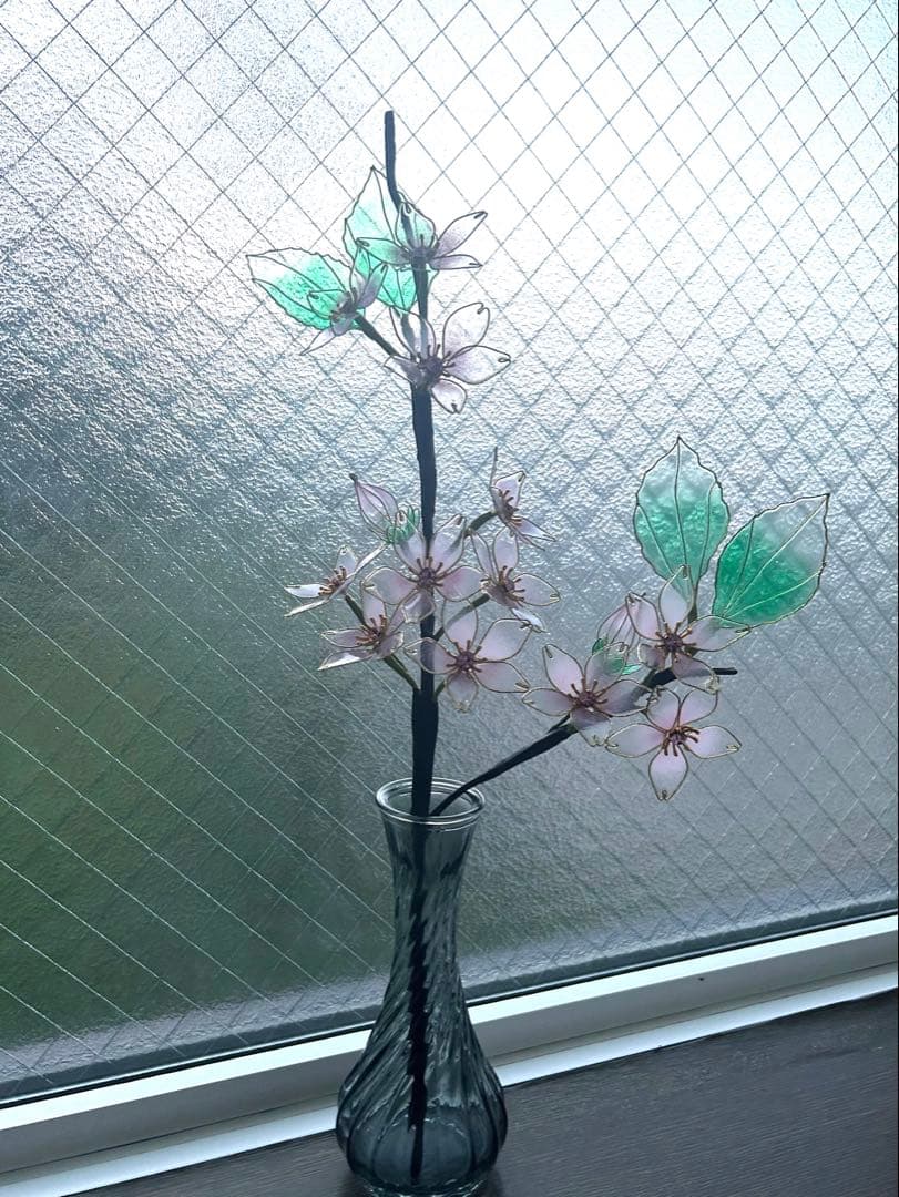 レアちゃん❤️　紫陽花　椿　桜