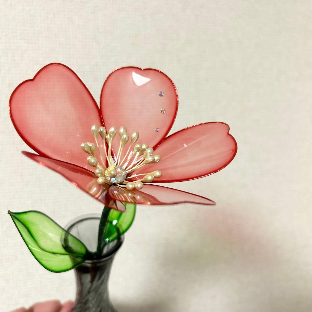 レアちゃん❤️　紫陽花　椿　桜