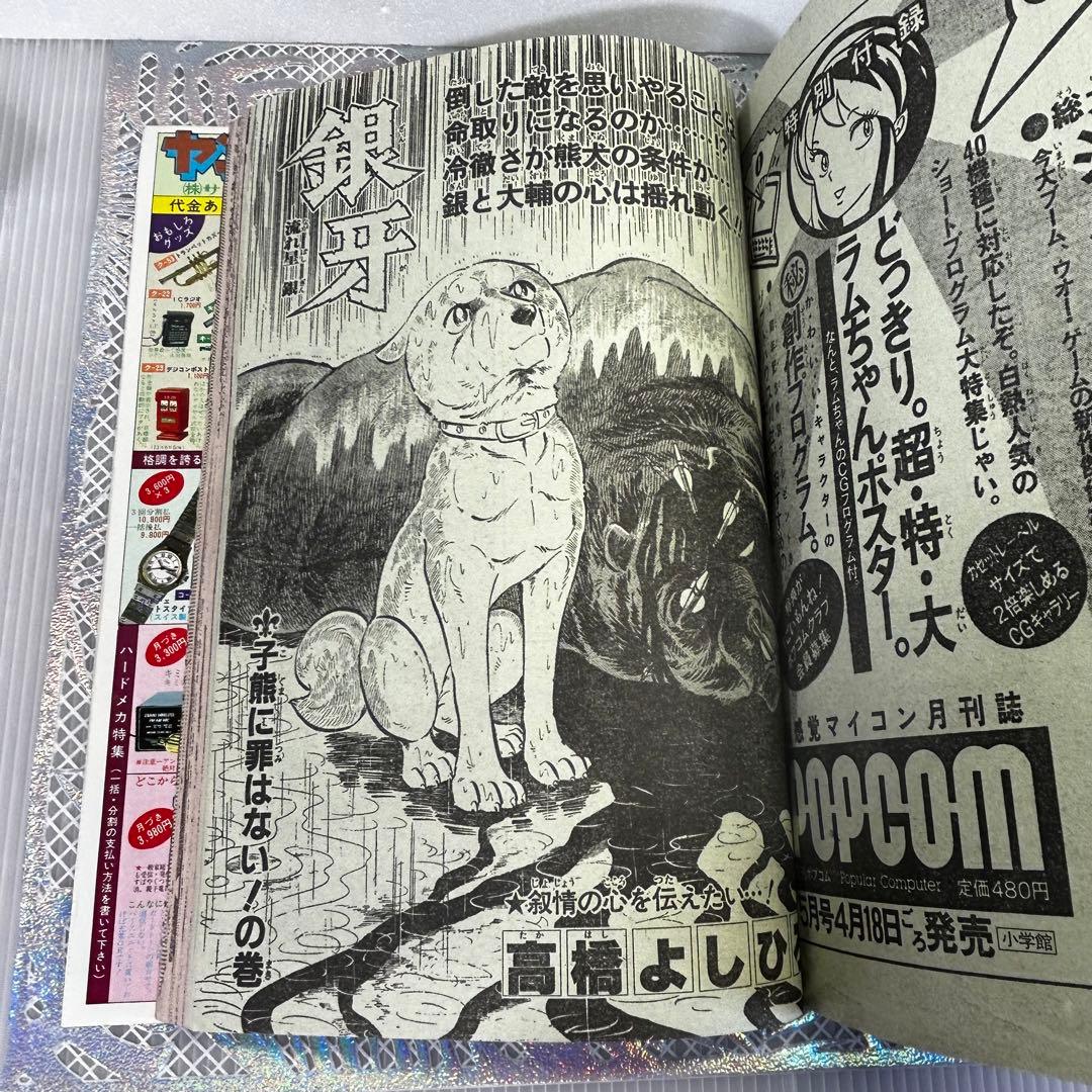 週刊少年ジャンプ 1984年4月23日　キン肉マン　キャプテン翼　Drスランプ