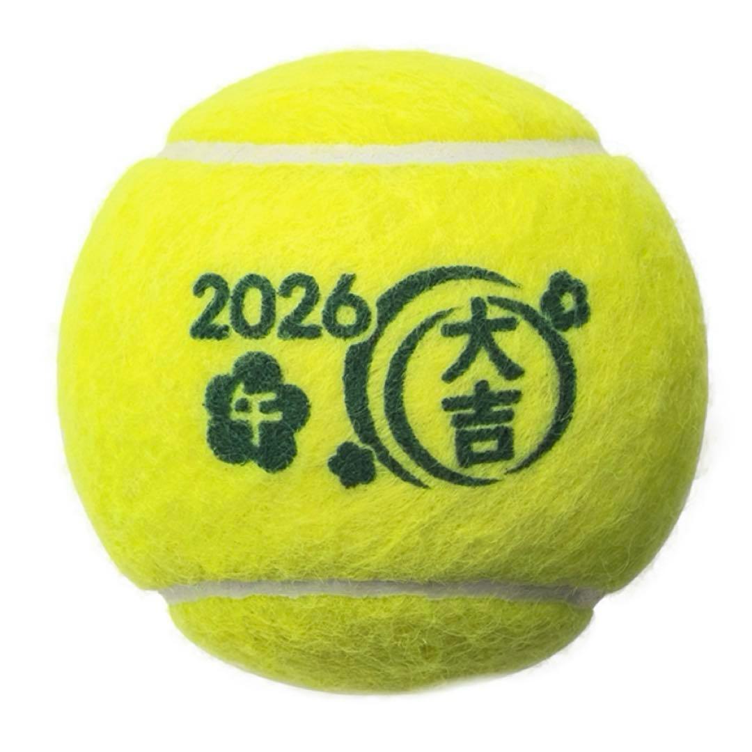DUNLOP ダンロップ 干支 FORT フォート 10缶 2026年干支 新品