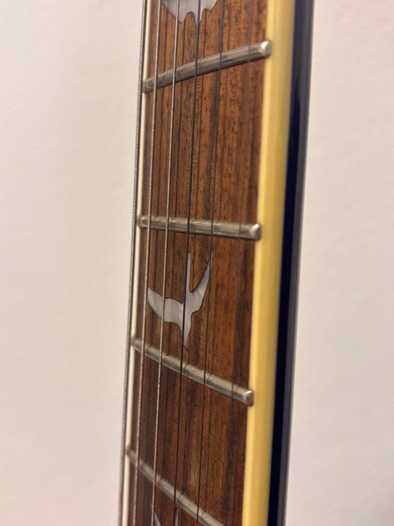 ギター Paul Reem Smith SE Standard 24
