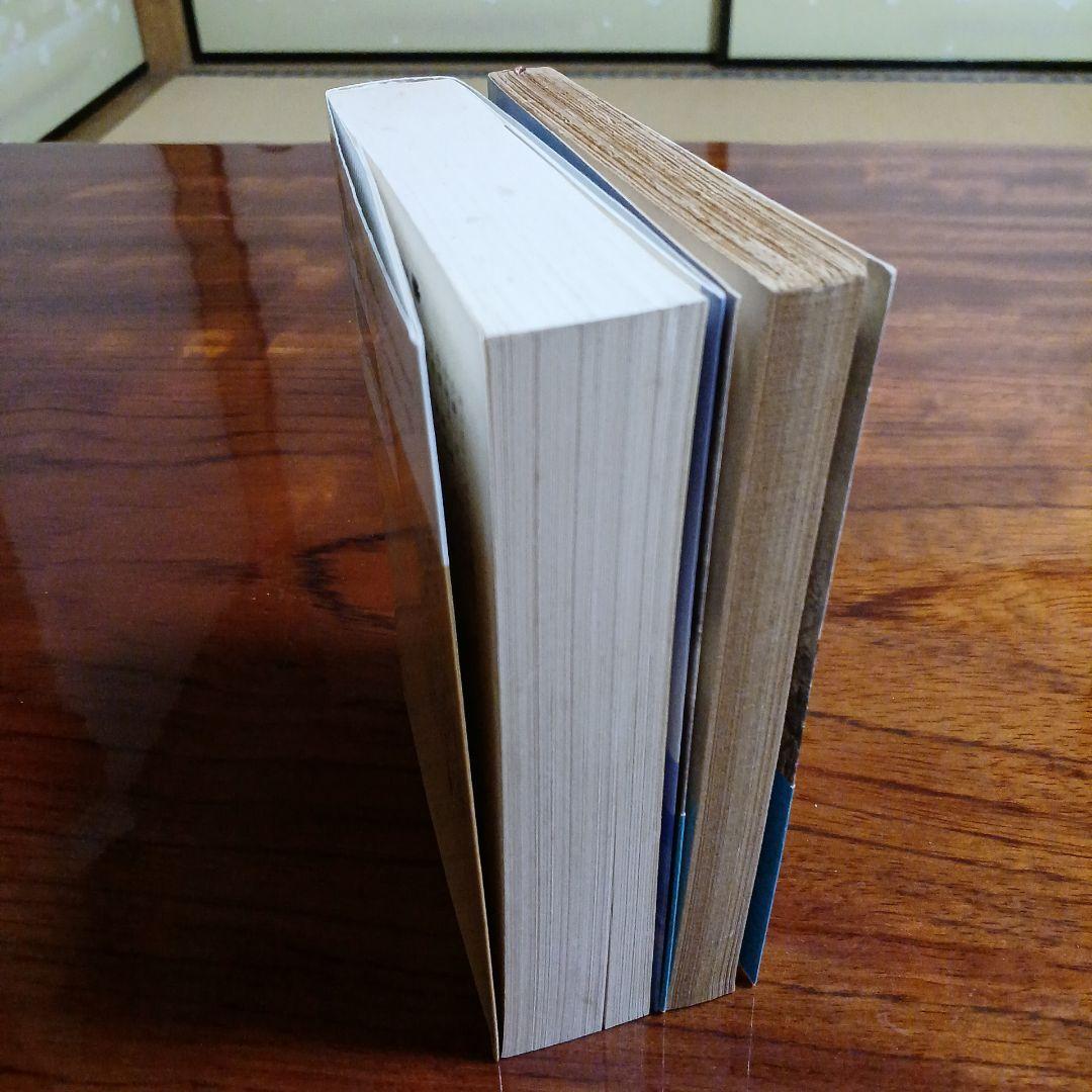 船山馨文庫2冊セットです。