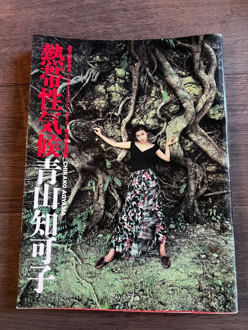 熱帯性気候　青山知可子