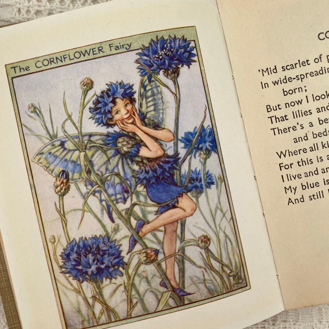 【希少】初版 美品Flower Fairies 庭の花の妖精 洋書 古書