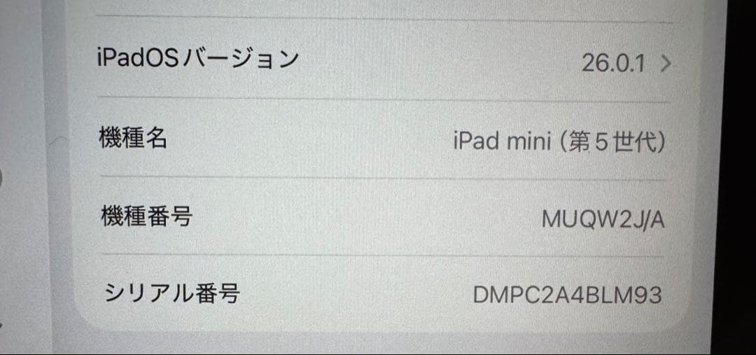 iPad mini5 64GB Wi-Fi バッテリー最大容量98%