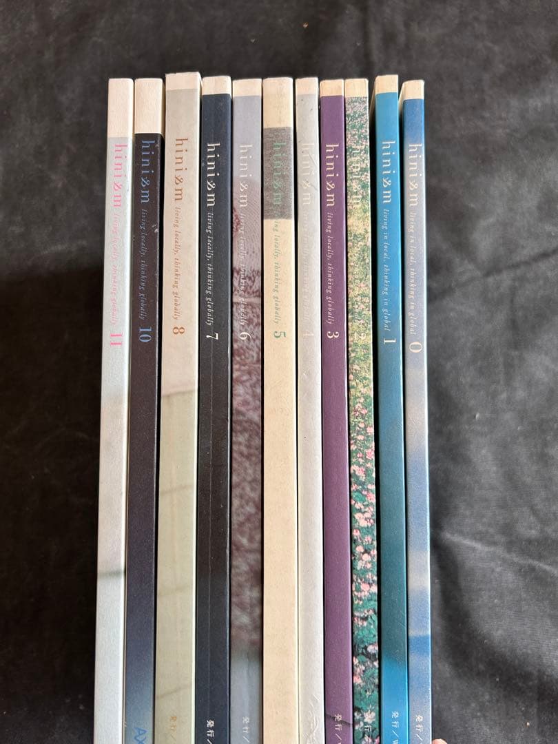 r*e様 ヒニスム hinism vol.0-11（9欠） 11冊セット 泊昭雄