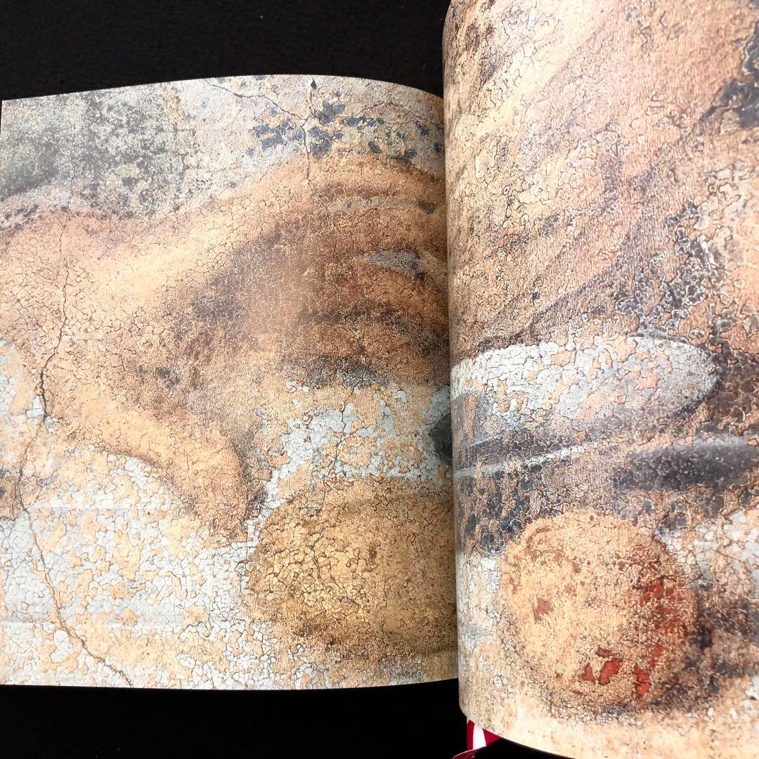 レオナルド・ダ・ヴィンチ 画集「LEONARDO 最後の晩餐」修復作業報告書